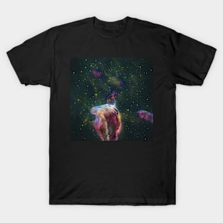 Stellar Nursery #042 T-Shirt